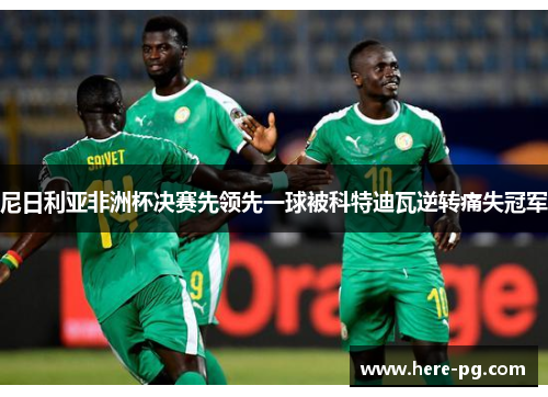 尼日利亚非洲杯决赛先领先一球被科特迪瓦逆转痛失冠军 尼日利亚非洲杯决赛先领先一球被科特迪瓦逆转痛失冠军