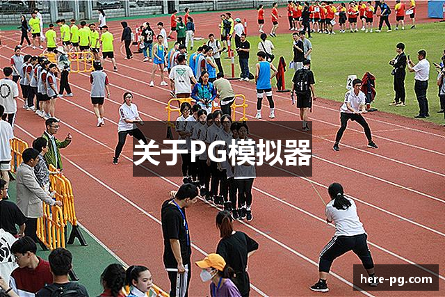 关于PG模拟器